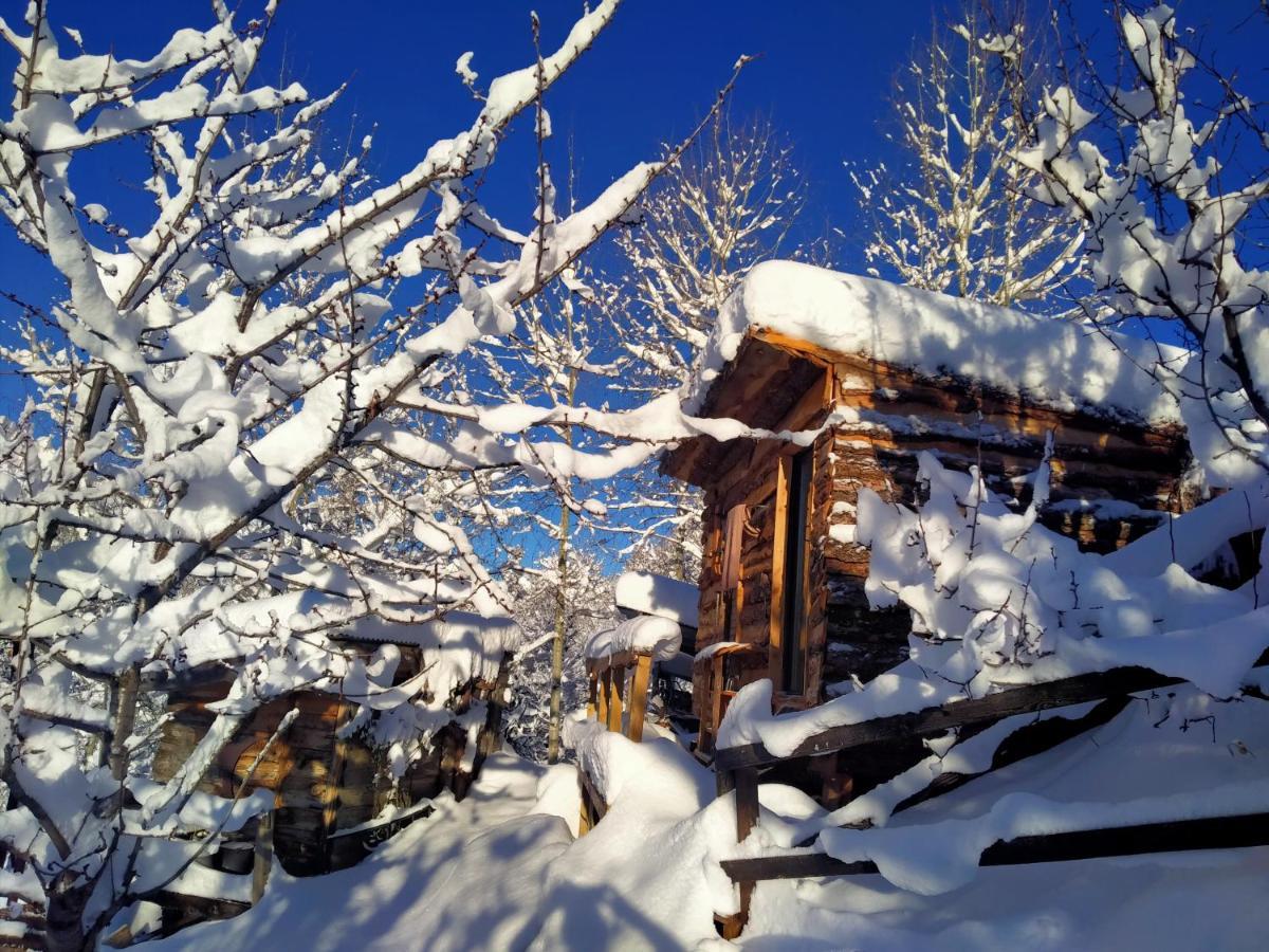 Bed and Breakfast Les Toits Rouges - Le Luxe De La Simplicite Au Bout Du Sentier Saint-Étienne-de-Tinée Zewnętrze zdjęcie